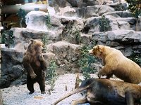 photos 2000-200900999